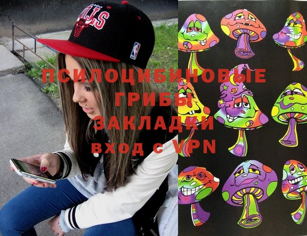 бошки Алексеевка
