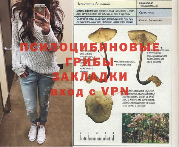 бошки Алексеевка
