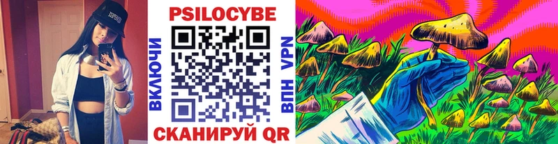 наркотики Чёрмоз блэк спрут ONION Галлюциногенные грибы Cubensis